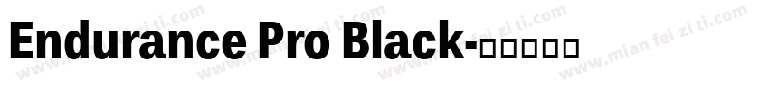 Endurance Pro Black字体转换